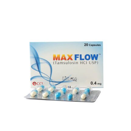 maxflow.jpg